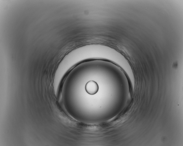 X0000092030237200709131625