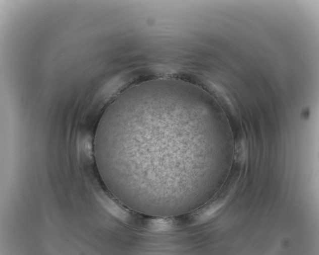 X0000092030238200709131625