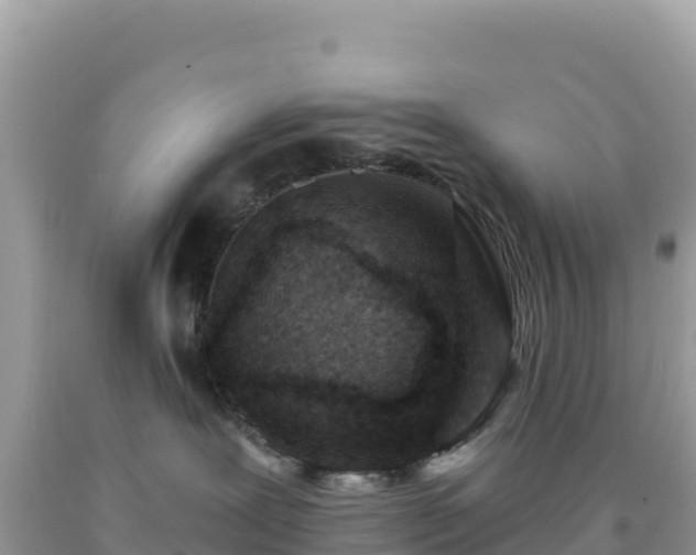 X0000092030239200709131625