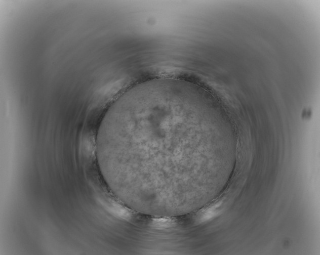 X0000092030240200709131625