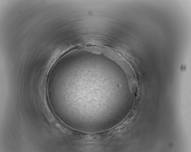 X0000092030241200709131625