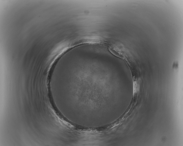 X0000092030243200709131625