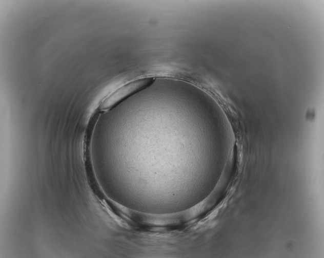 X0000092030244200709131625