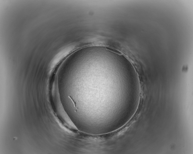 X0000092030245200709131625