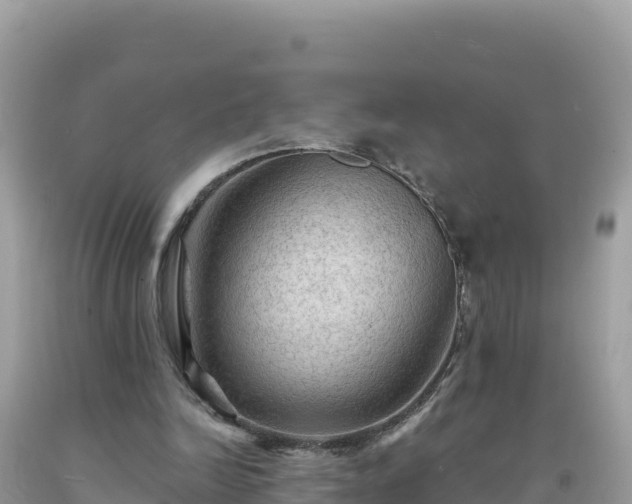 X0000092030246200709131625