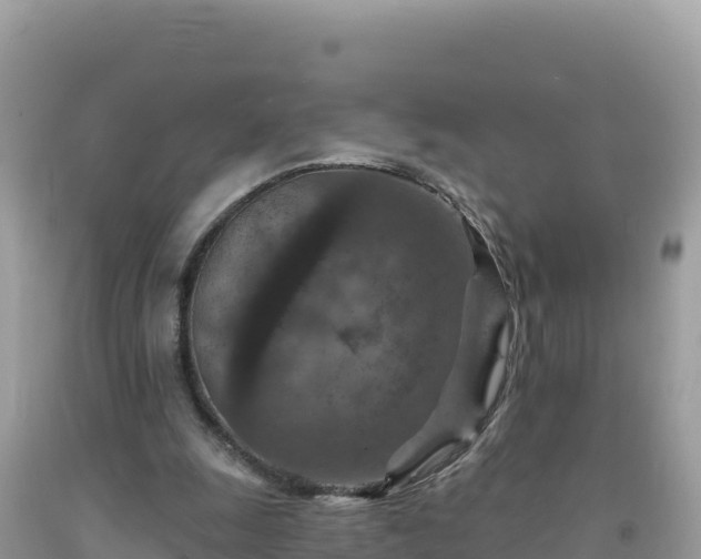 X0000092030247200709131625