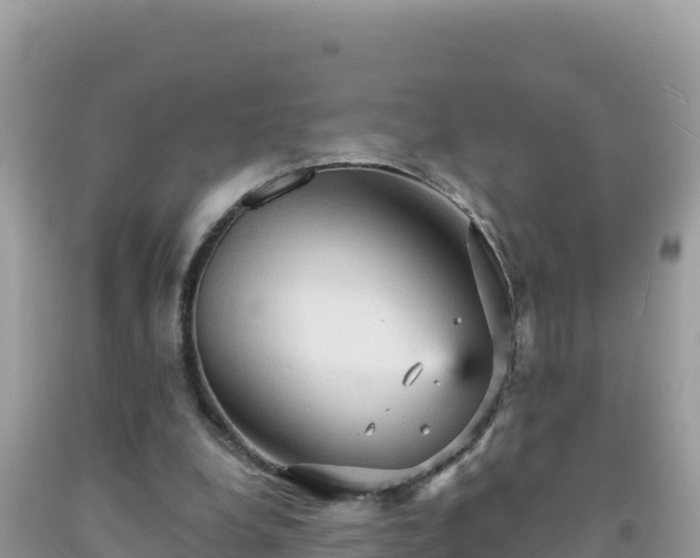 X0000092030248200709131625