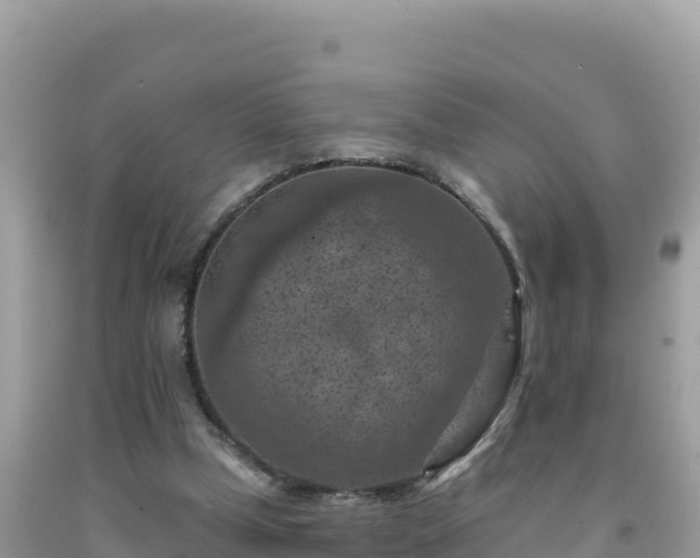 X0000092030249200709131625