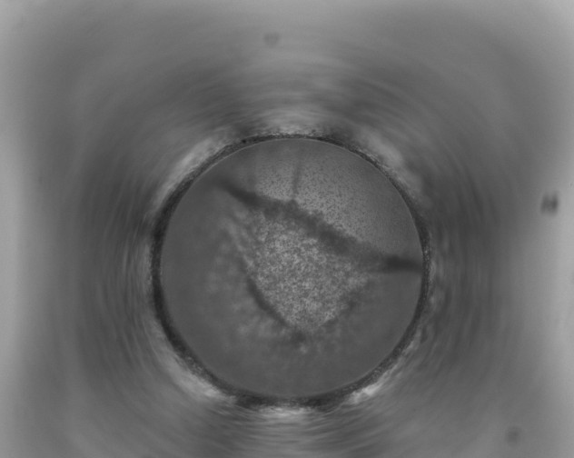 X0000092030250200709131625