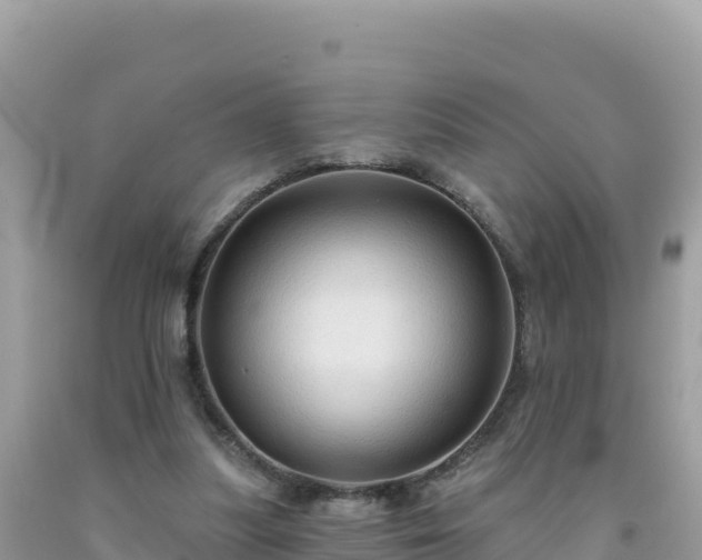 X0000092030251200709131625