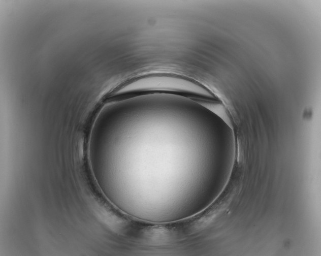 X0000092030253200709131625