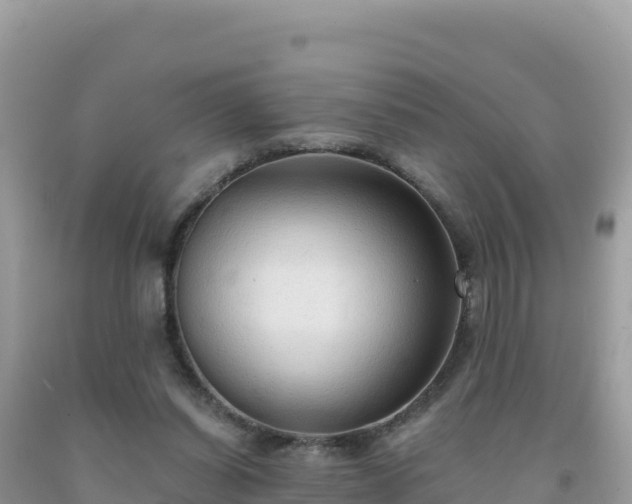 X0000092030254200709131625