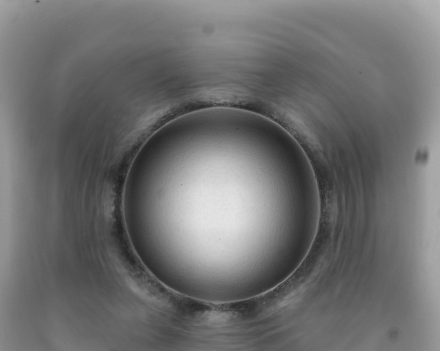 X0000092030255200709131625