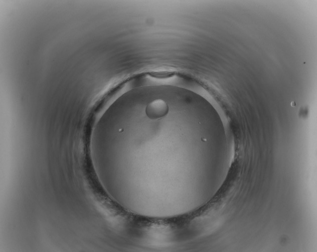 X0000092030256200709131625