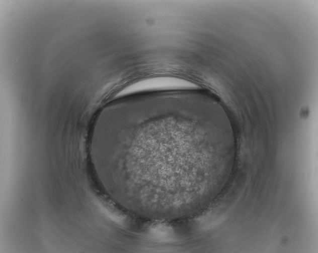 X0000092030258200709131625