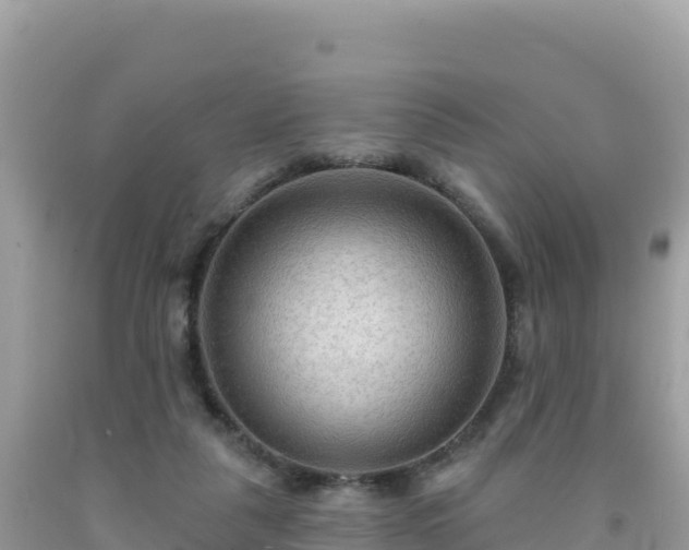 X0000092030259200709131625