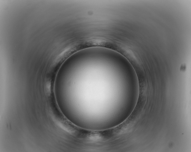 X0000092030262200709131625