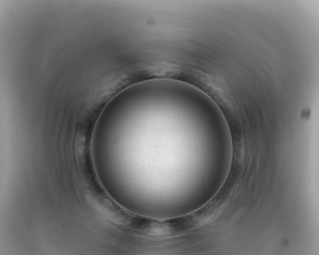 X0000092030263200709131625