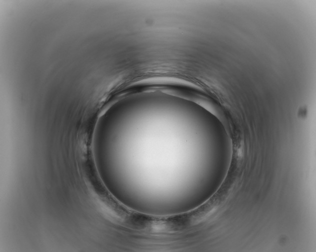 X0000092030264200709131625