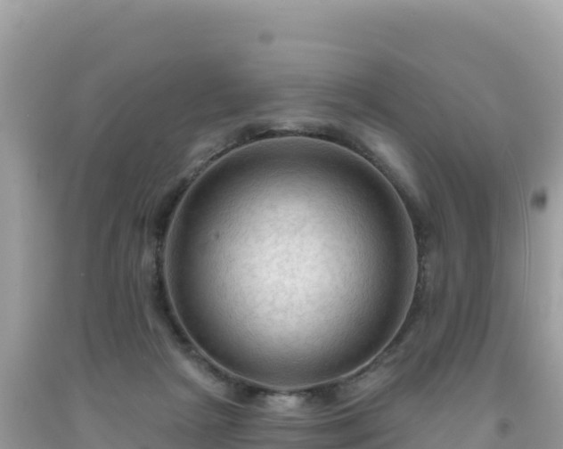 X0000092030265200709131625