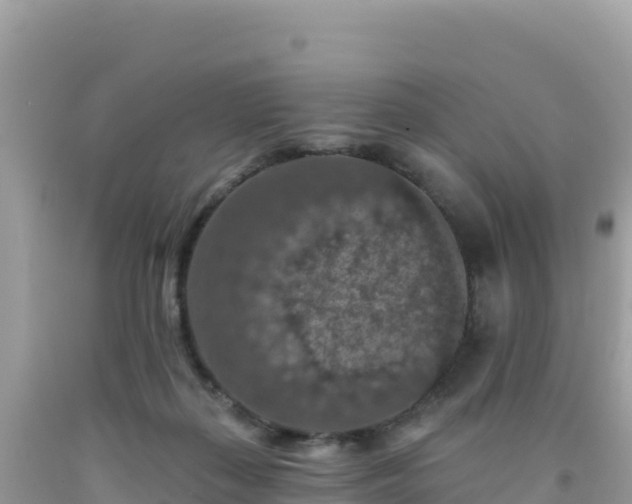 X0000092030267200709131625