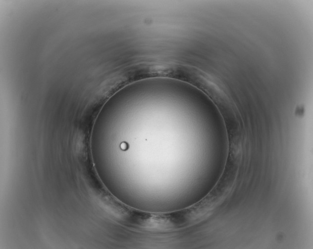 X0000092030270200709131625