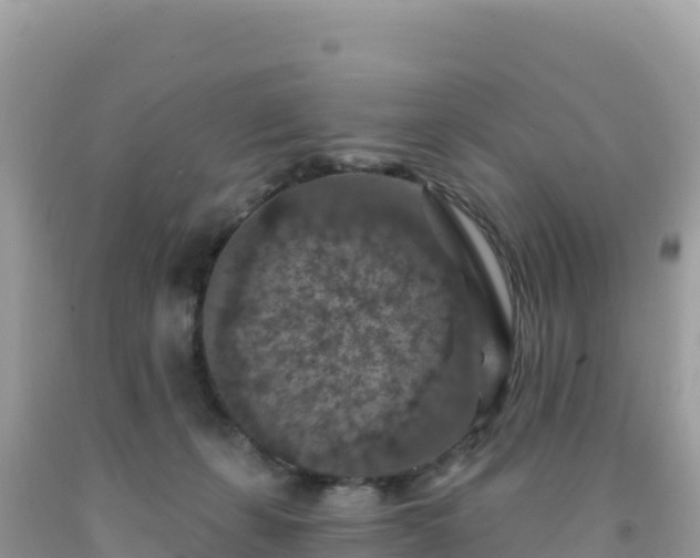 X0000092030271200709131625