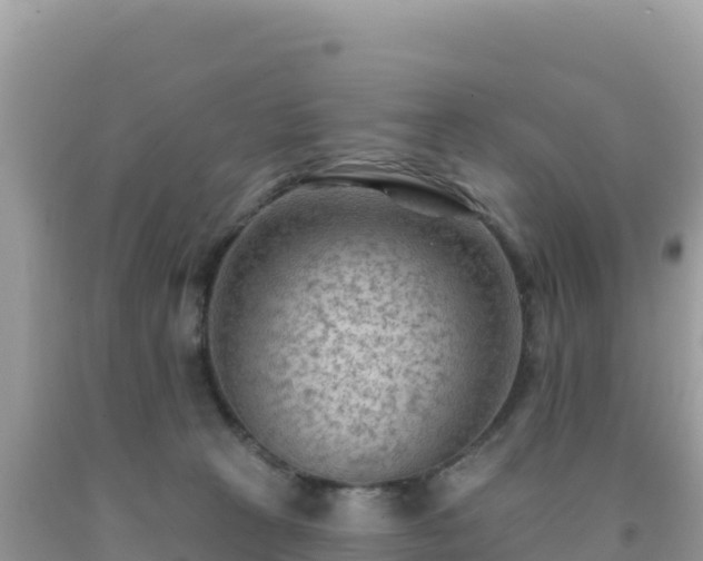 X0000092030273200709131625