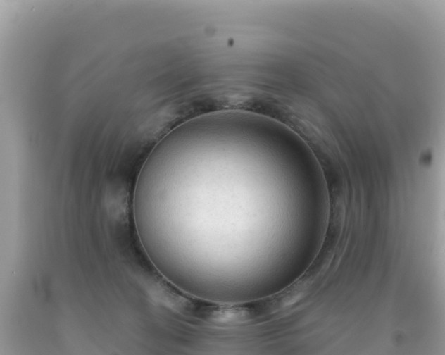 X0000092030274200709131625