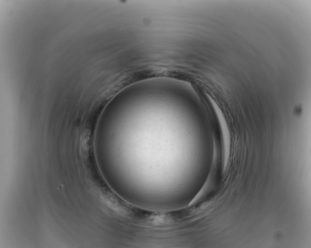 X0000092030275200709131625