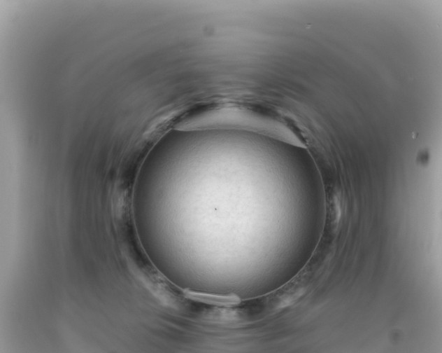 X0000092030276200709131625