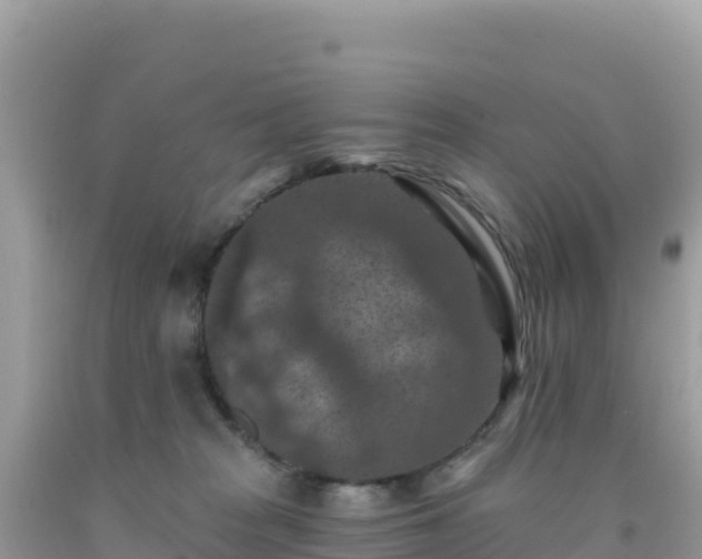 X0000092030277200709131625