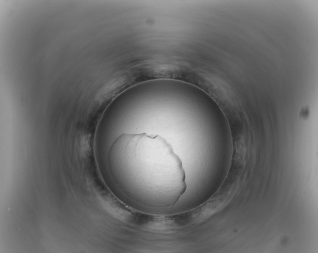 X0000092030278200709131625