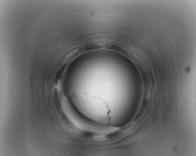 X0000092030279200709131625