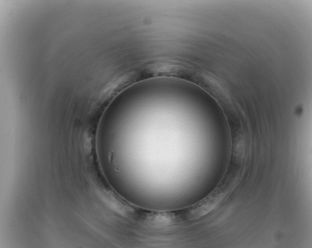 X0000092030282200709131625