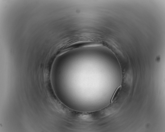 X0000092030283200709131625