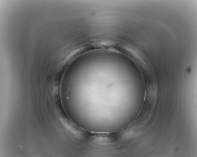 X0000092030284200709131625