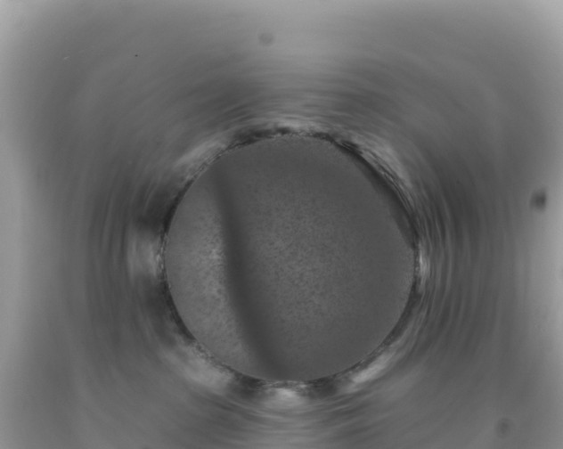 X0000092030285200709131625