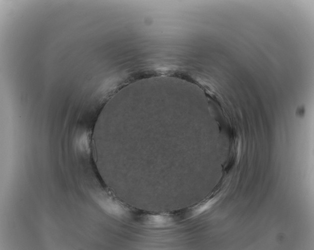 X0000092030286200709131625