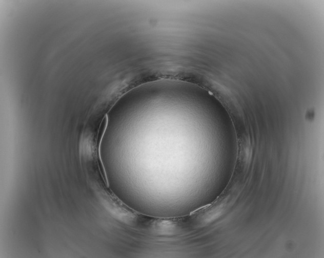 X0000092030287200709131625