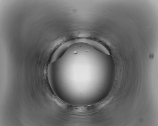 X0000092030288200709131625