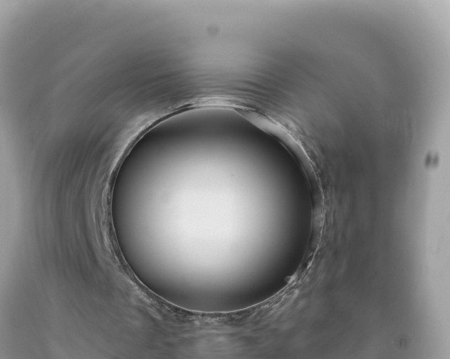 X0000092030289200709131625