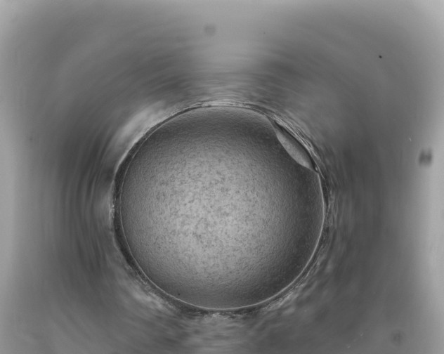 X0000092030290200709131625