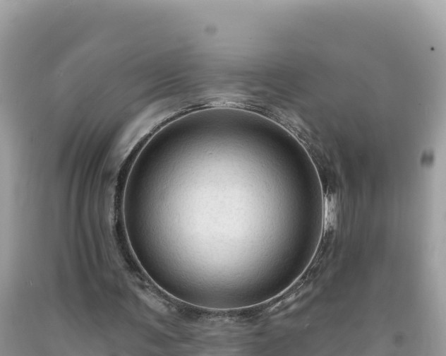 X0000092030291200709131625