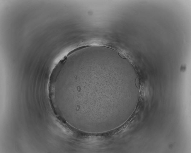 X0000092030292200709131625