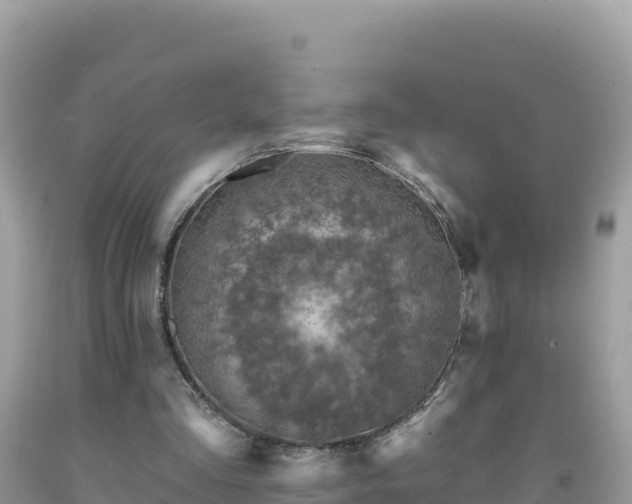 X0000092030293200709131625