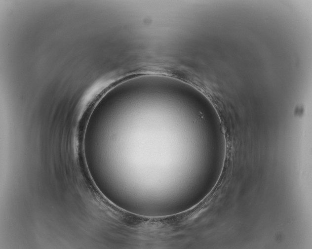 X0000092030294200709131625