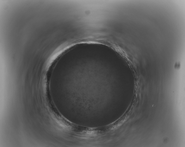 X0000092030295200709131625