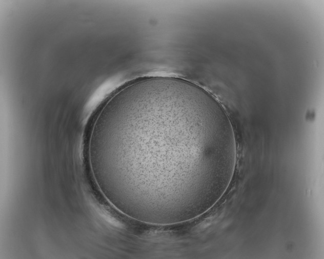 X0000092030296200709131625