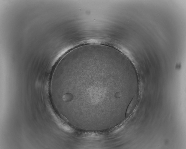 X0000092030297200709131625